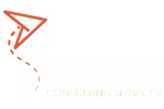 Invictus Consulting Services